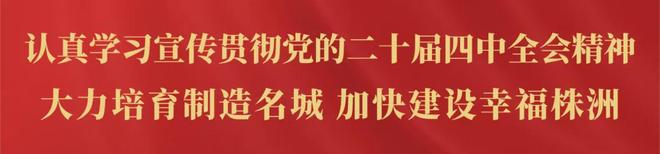 中国驻俄大使:有必要在俄中两国间实行永久免签政策