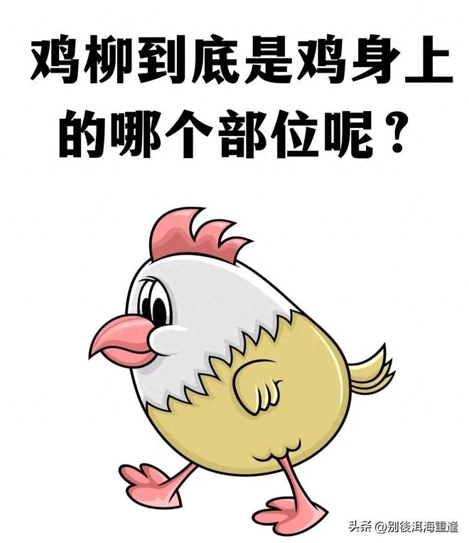 苦熬周期!22家上市猪企21家上半年亏损,三大头部猪企合计负债超2300亿