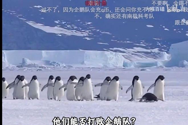 银川四国赛：中国U17男足1:1战平尼日利亚