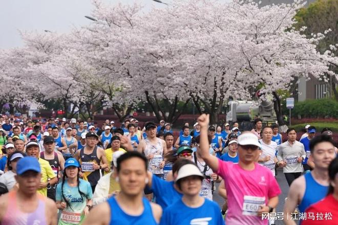 欧文绯闻再热闹也是空转:独行侠已明确不交易,火箭连询价都没递