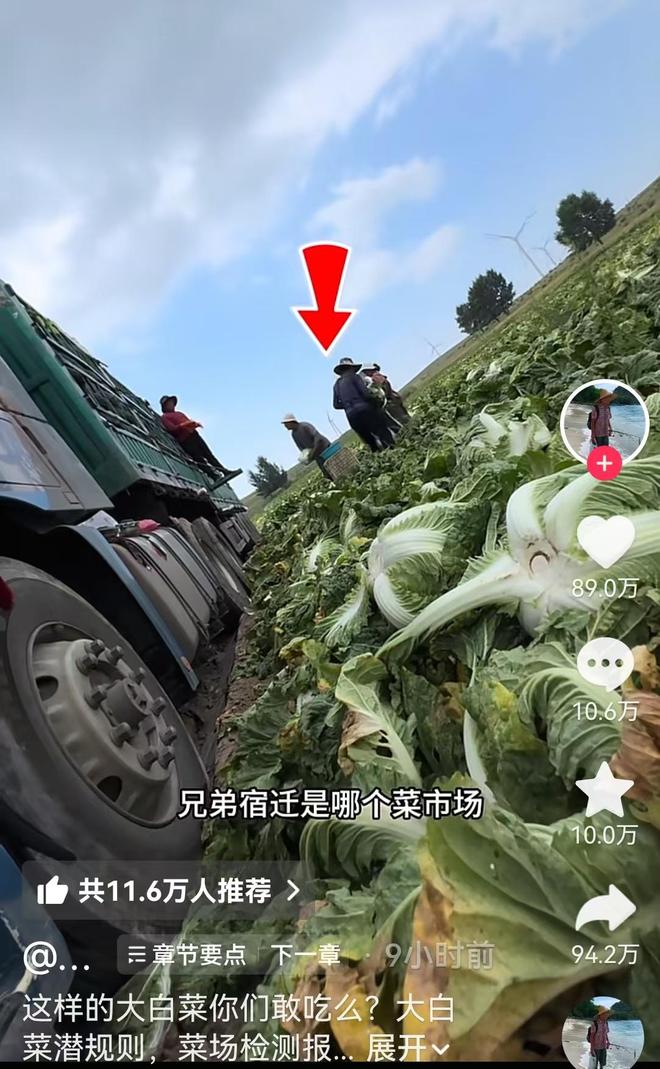 中荷男篮热身赛赛前:3大好消息和1个隐忧,杨瀚森确定登场