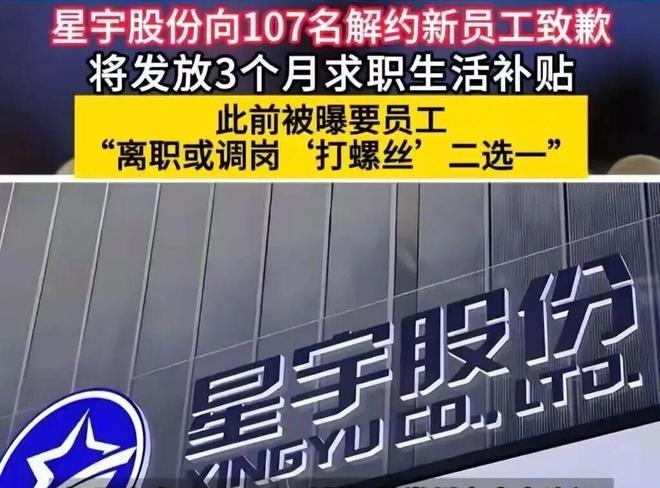 媒体人：上海久事预计为张镇麟提供四年D类续约合同